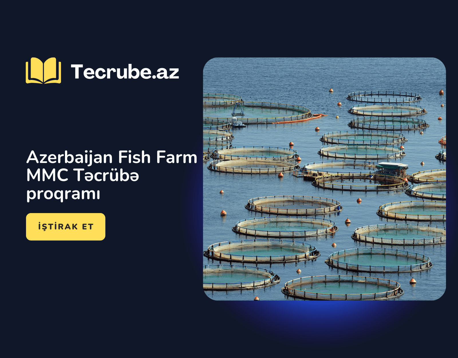 Azerbaijan Fish Farm MMC Təcrübə proqramı