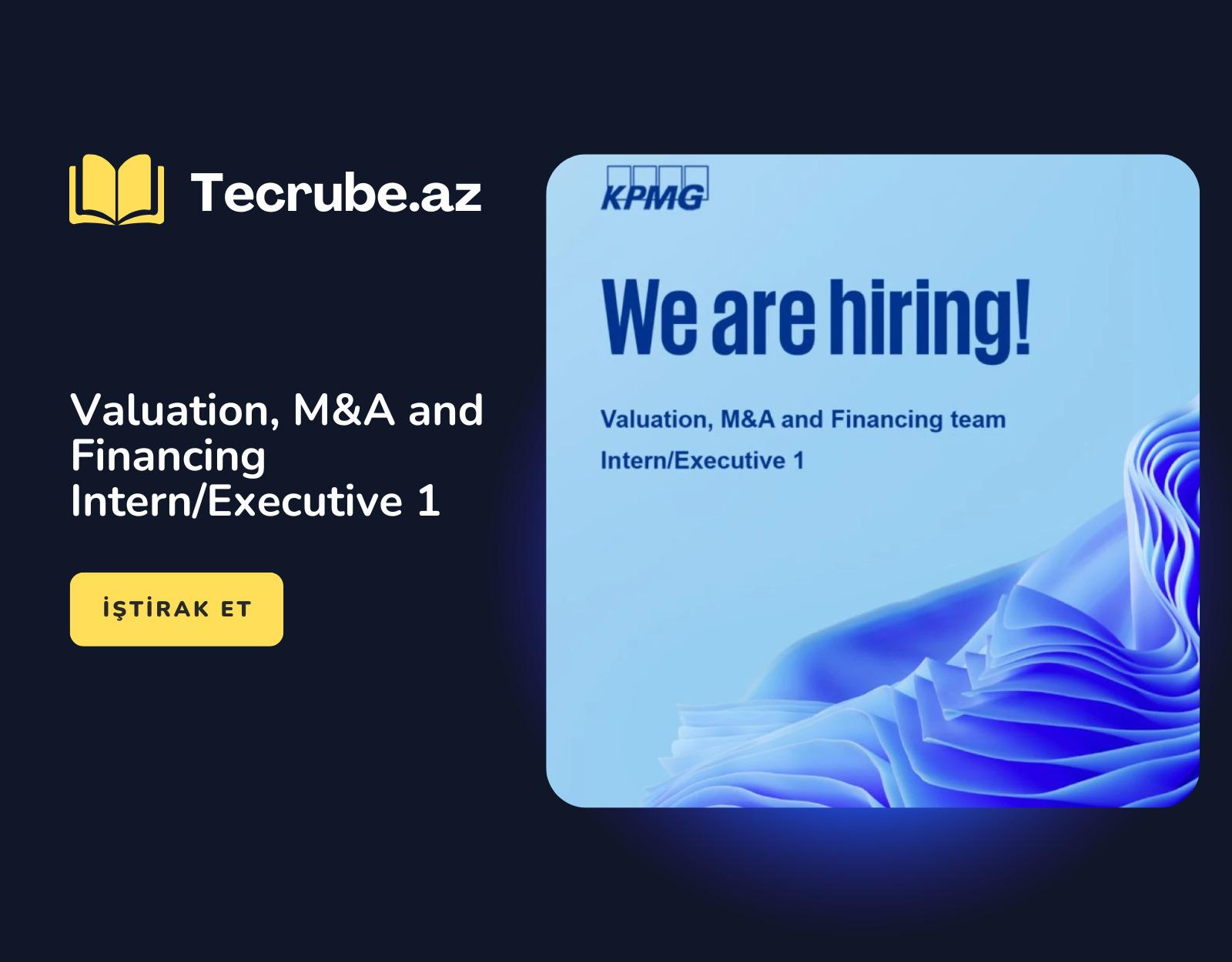 Valuation, M&A and Financing Intern/Executive 1