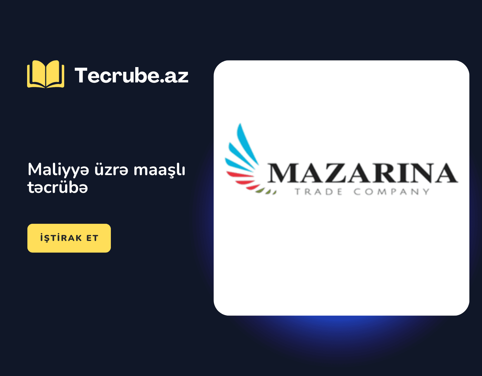 Maliyyə üzrə maaşlı təcrübə